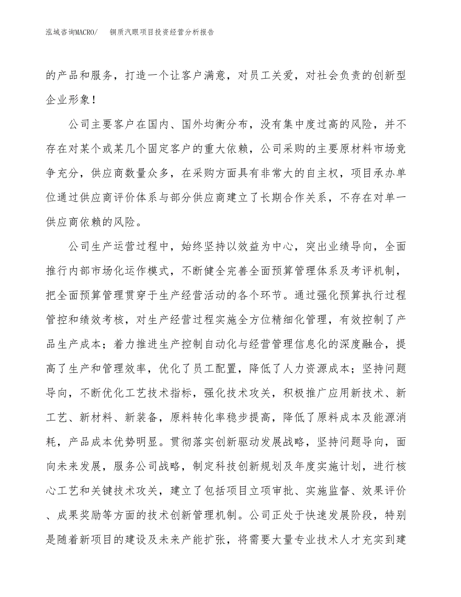 铜质汽眼项目投资经营分析报告模板.docx_第2页