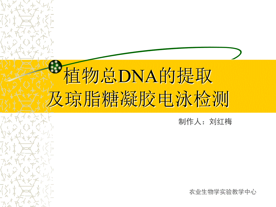 植物总DNA的提取综述_第1页