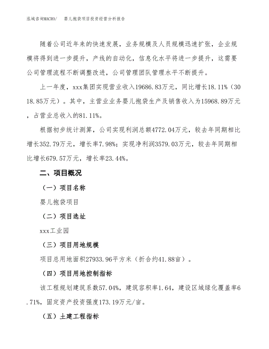 婴儿抱袋项目投资经营分析报告模板.docx_第2页