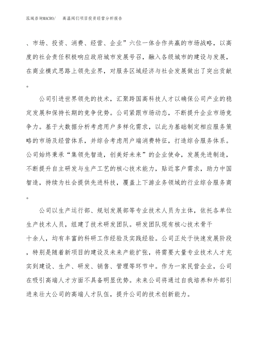 高温阀们项目投资经营分析报告模板.docx_第2页