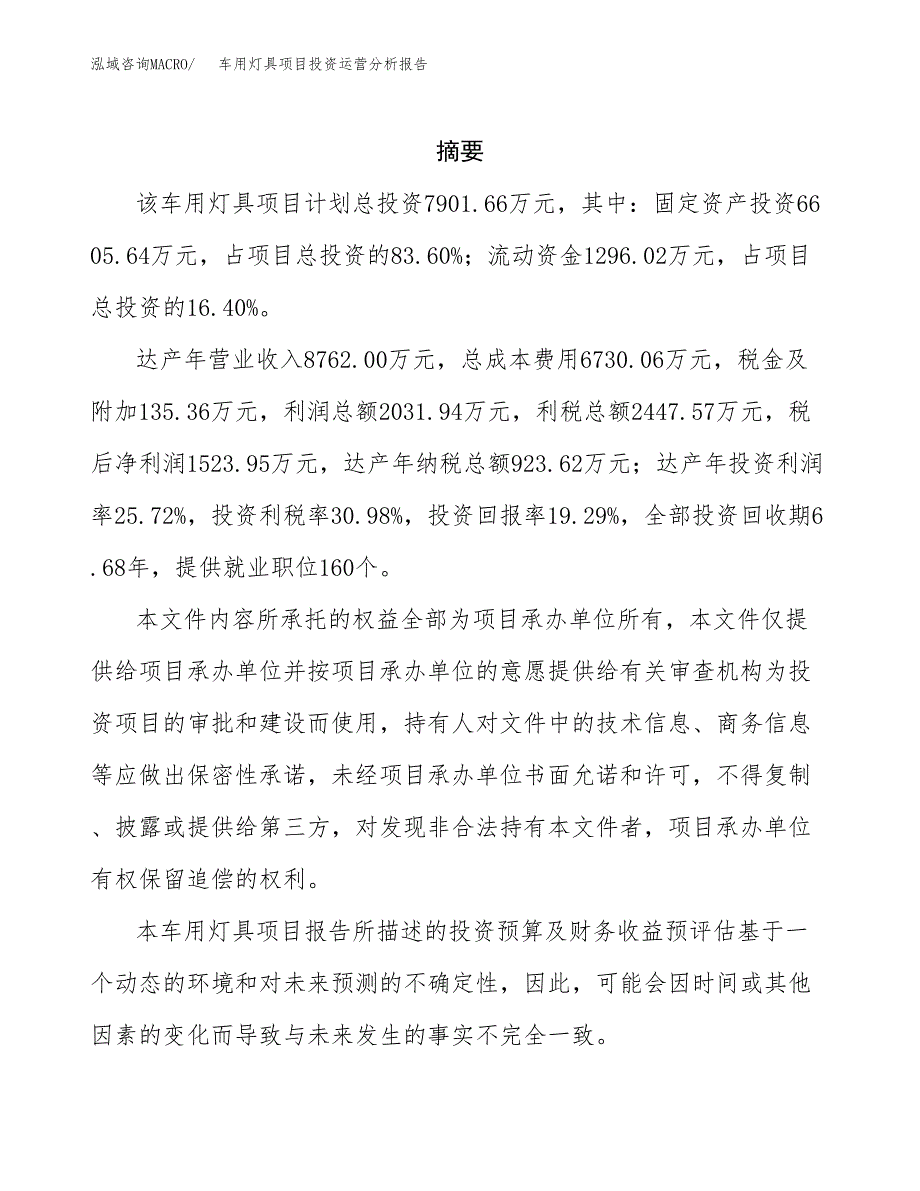 车用灯具项目投资运营分析报告参考模板.docx_第2页