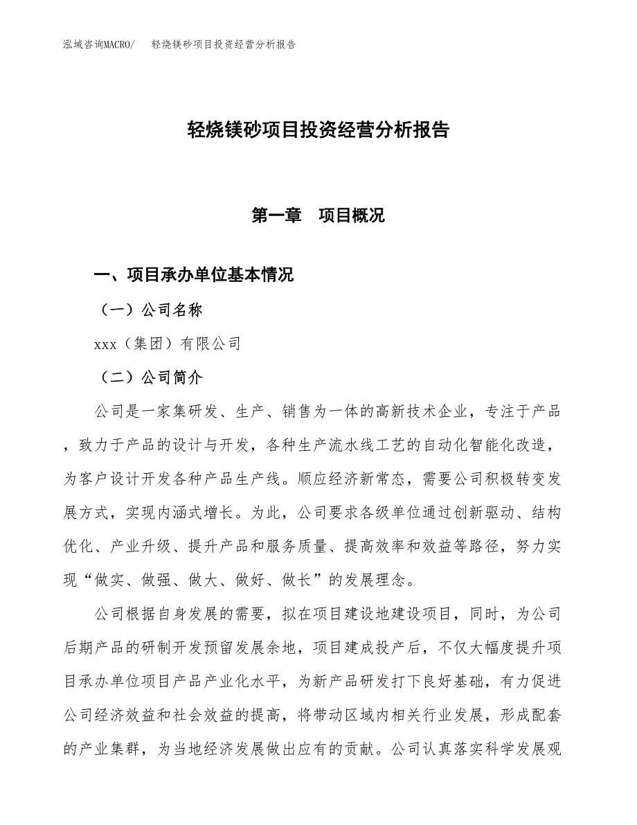 轻烧镁砂项目投资经营分析报告模板.docx_第1页