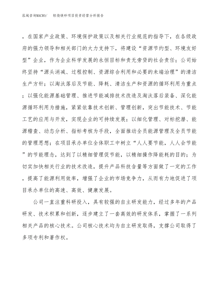 轻烧镁砂项目投资经营分析报告模板.docx_第2页