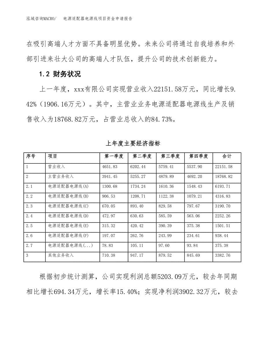 电源适配器电源线项目资金申请报告_第5页