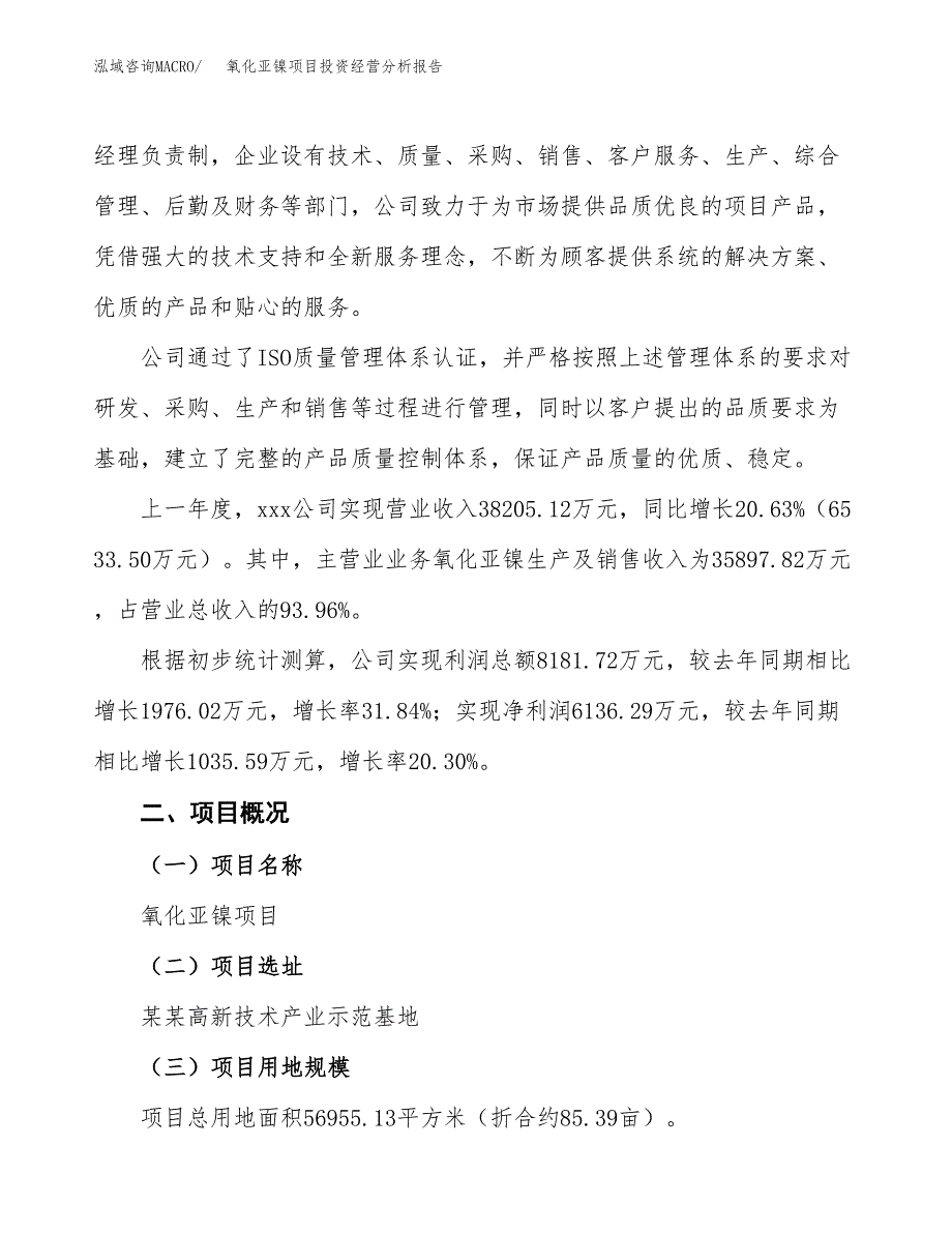 氧化亚镍项目投资经营分析报告模板.docx_第2页