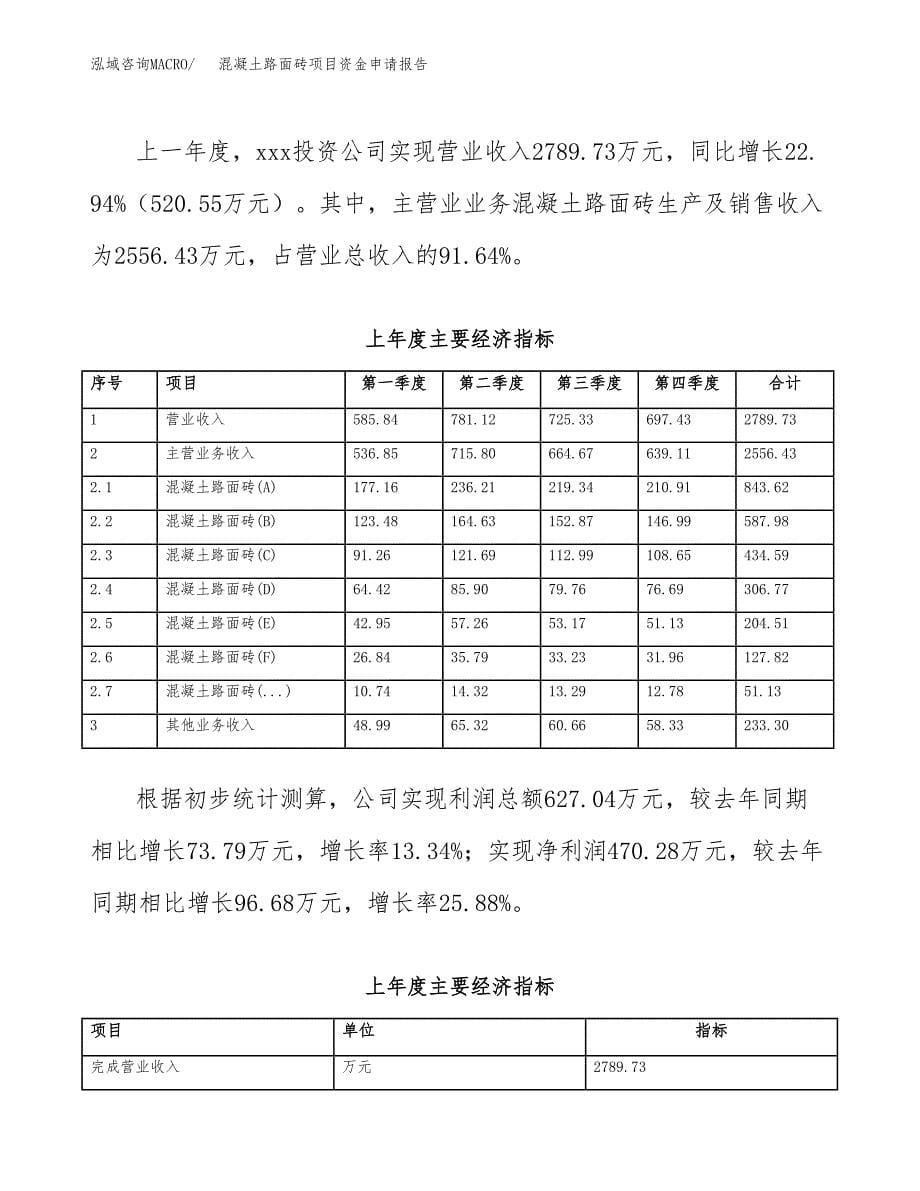 混凝土路面砖项目资金申请报告_第5页