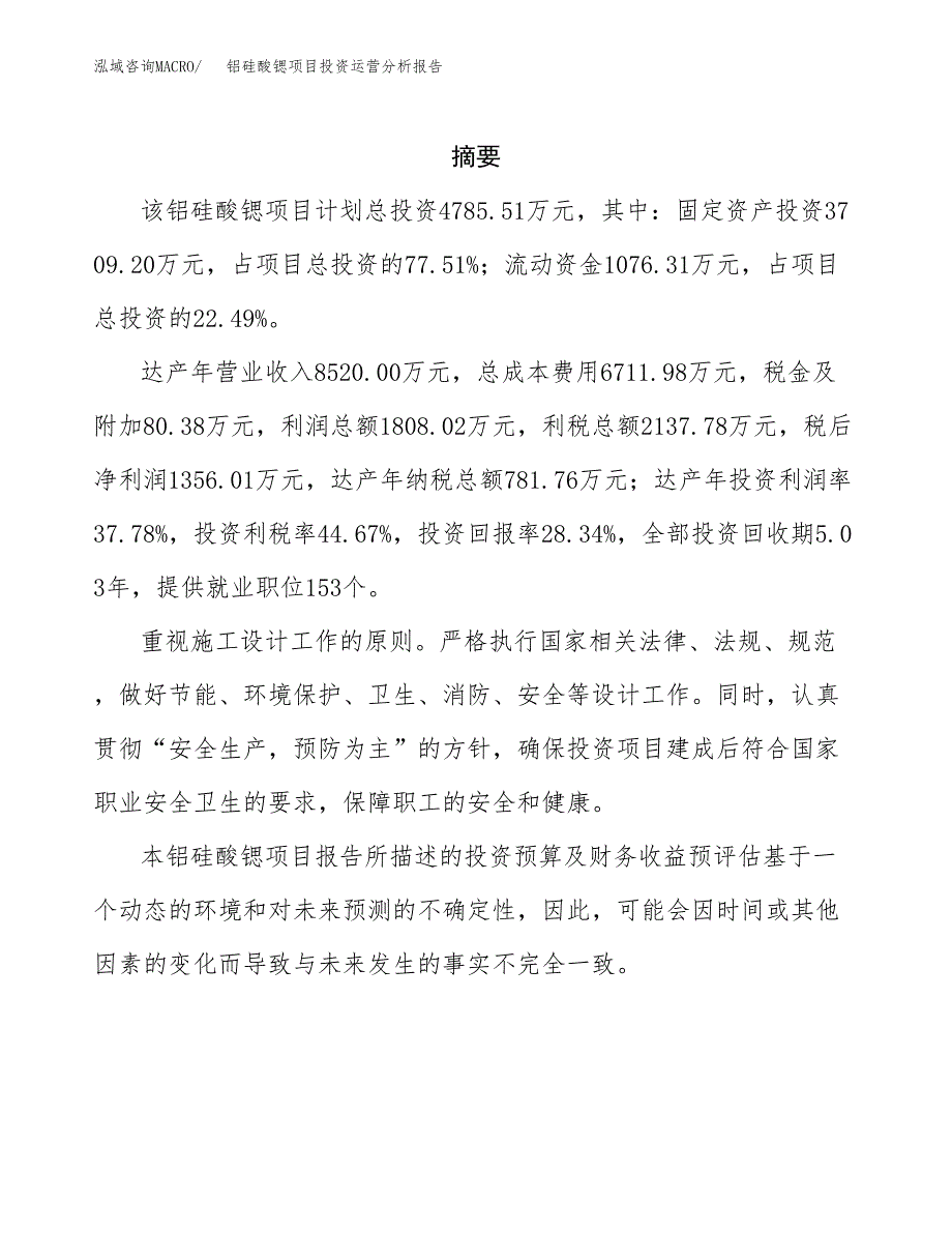 铝硅酸锶项目投资运营分析报告参考模板.docx_第2页