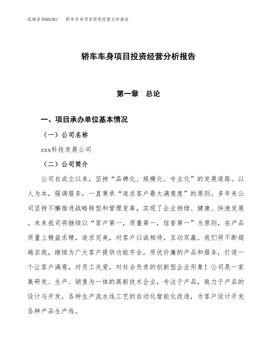 轿车车身项目投资经营分析报告模板.docx_第1页