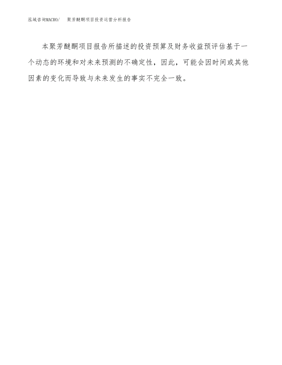 聚芳醚酮项目投资运营分析报告参考模板.docx_第3页