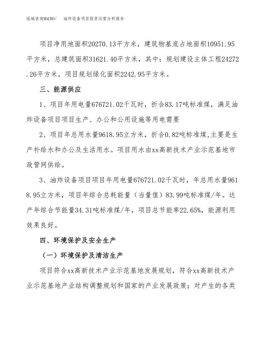 油炸设备项目投资运营分析报告参考模板.docx_第5页