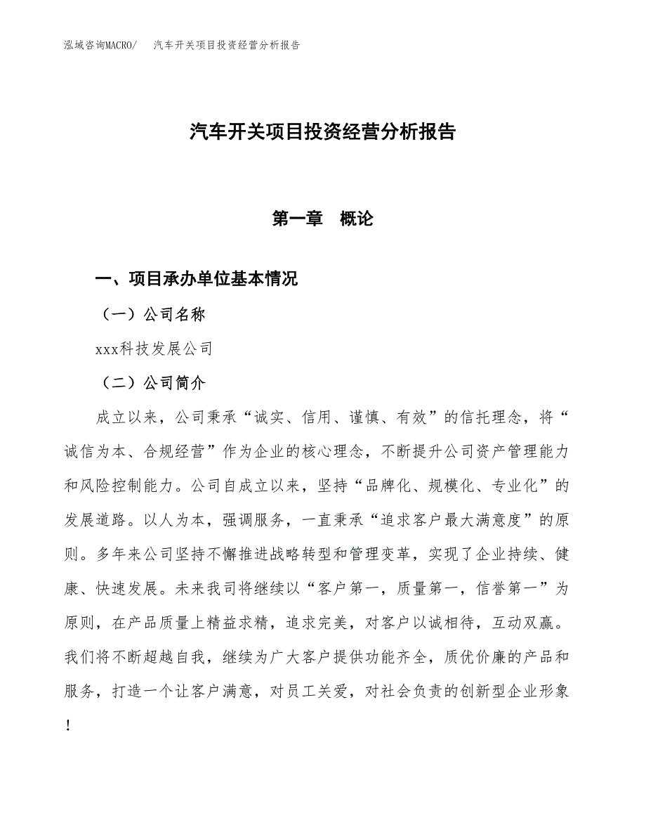 汽车开关项目投资经营分析报告模板.docx_第1页