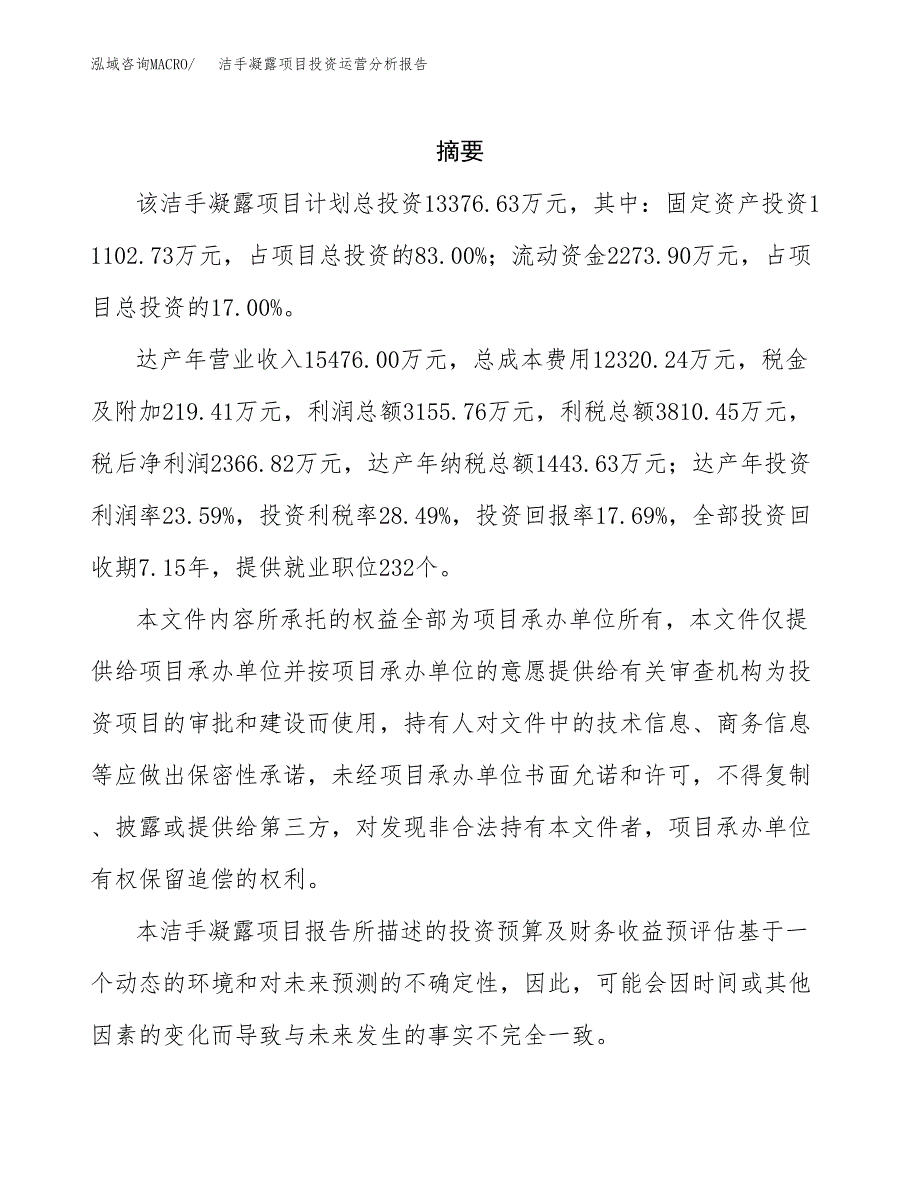 洁手凝露项目投资运营分析报告参考模板.docx_第2页