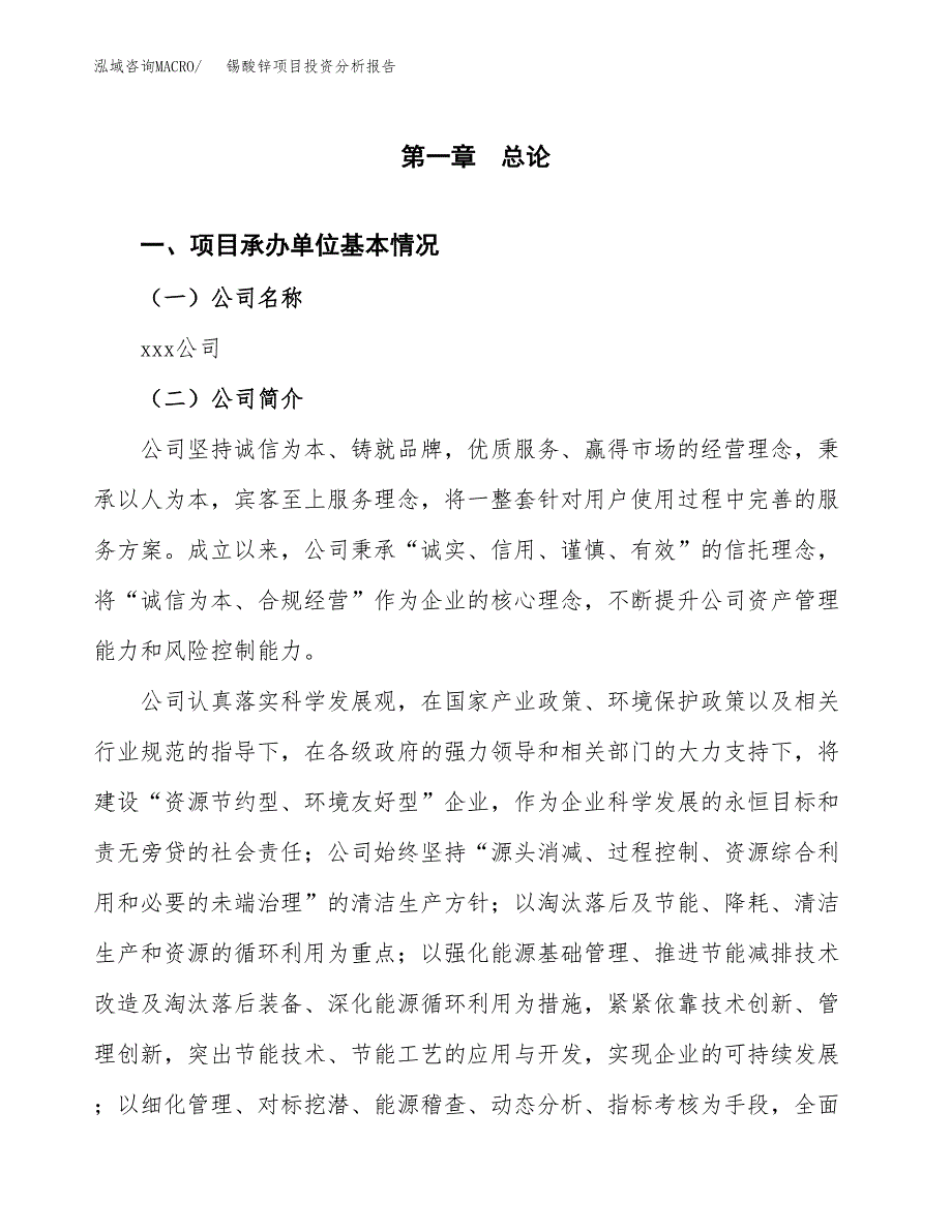 锡酸锌项目投资分析报告（总投资12000万元）（47亩）_第2页