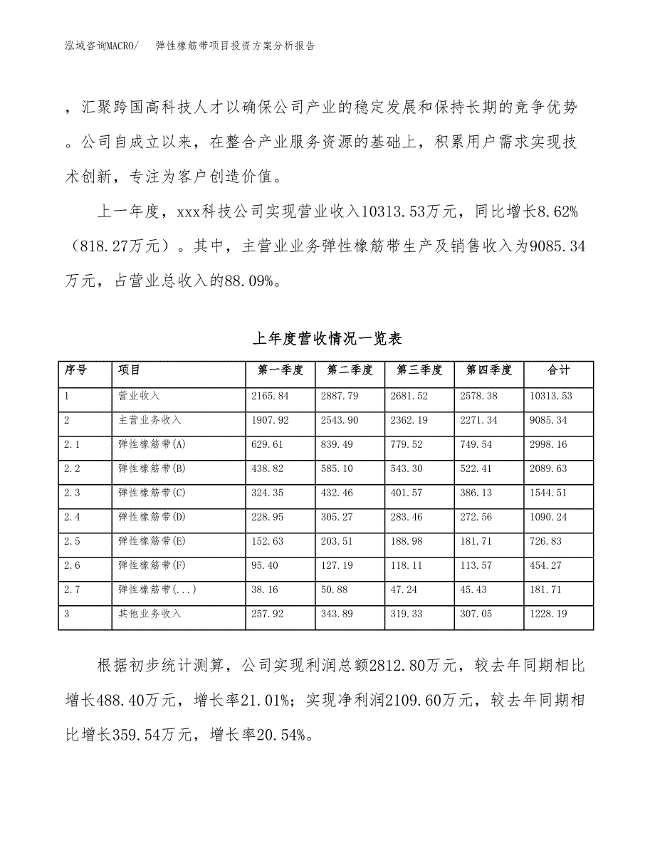 弹性橡筋带项目投资方案分析报告.docx_第2页