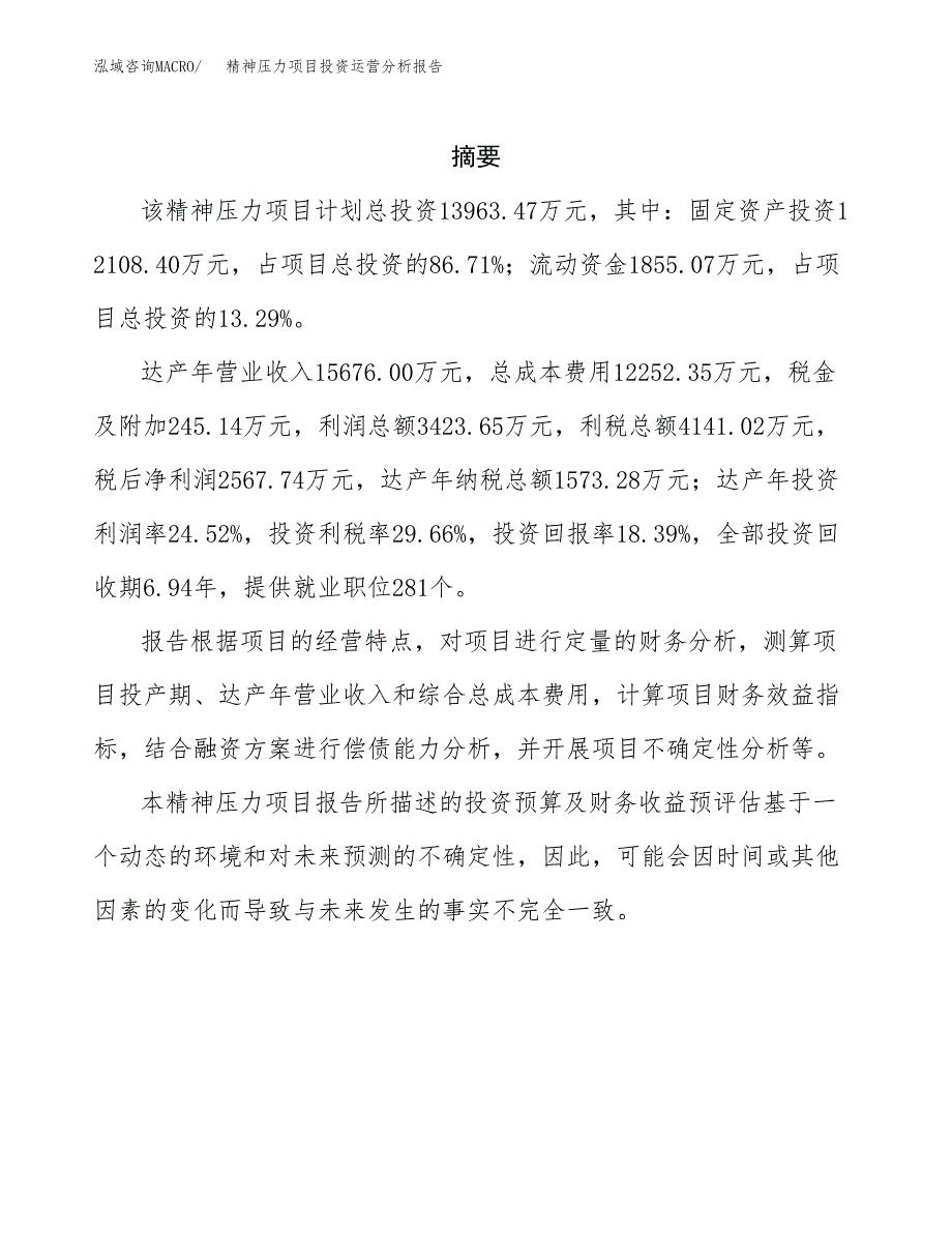 精神压力项目投资运营分析报告参考模板.docx_第2页