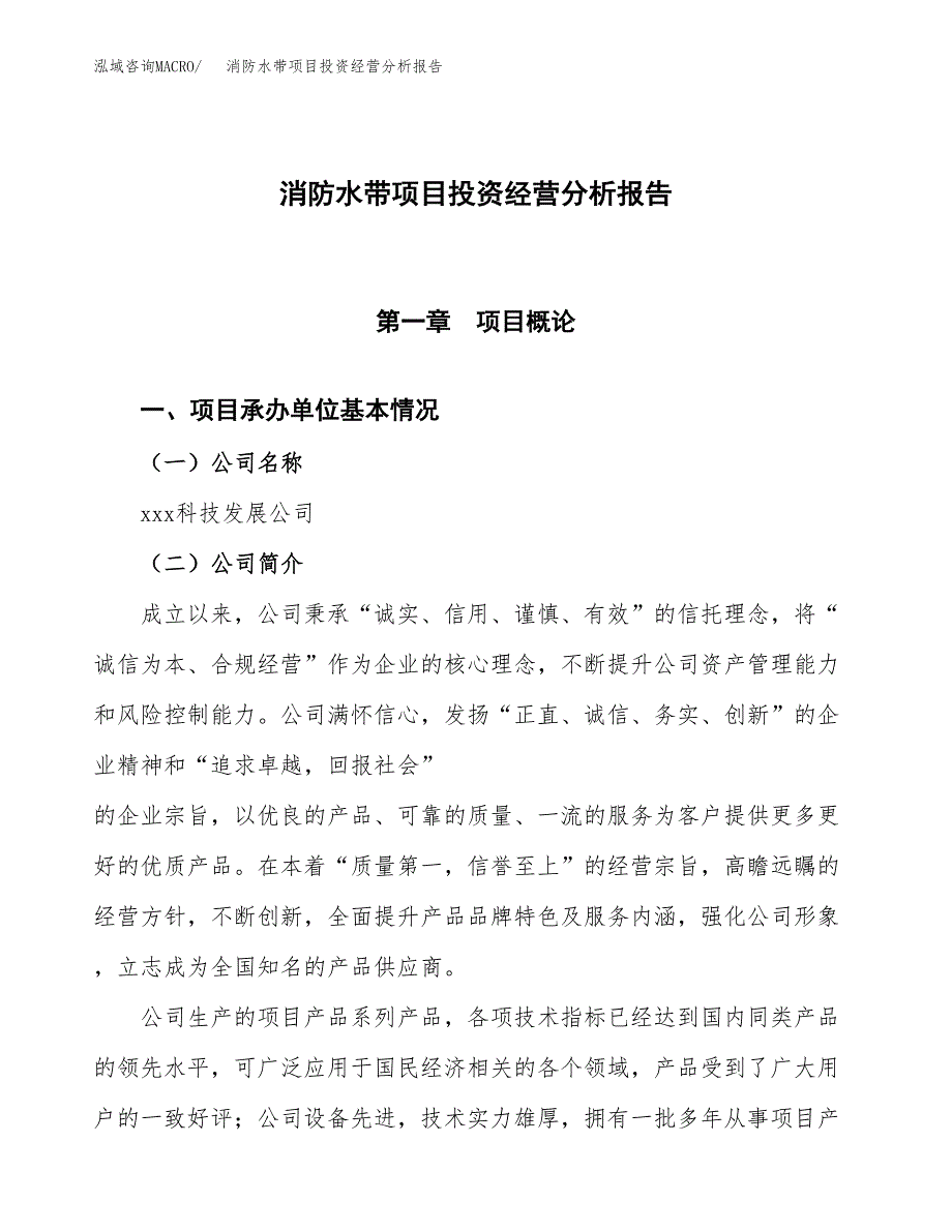 消防水带项目投资经营分析报告模板.docx_第1页