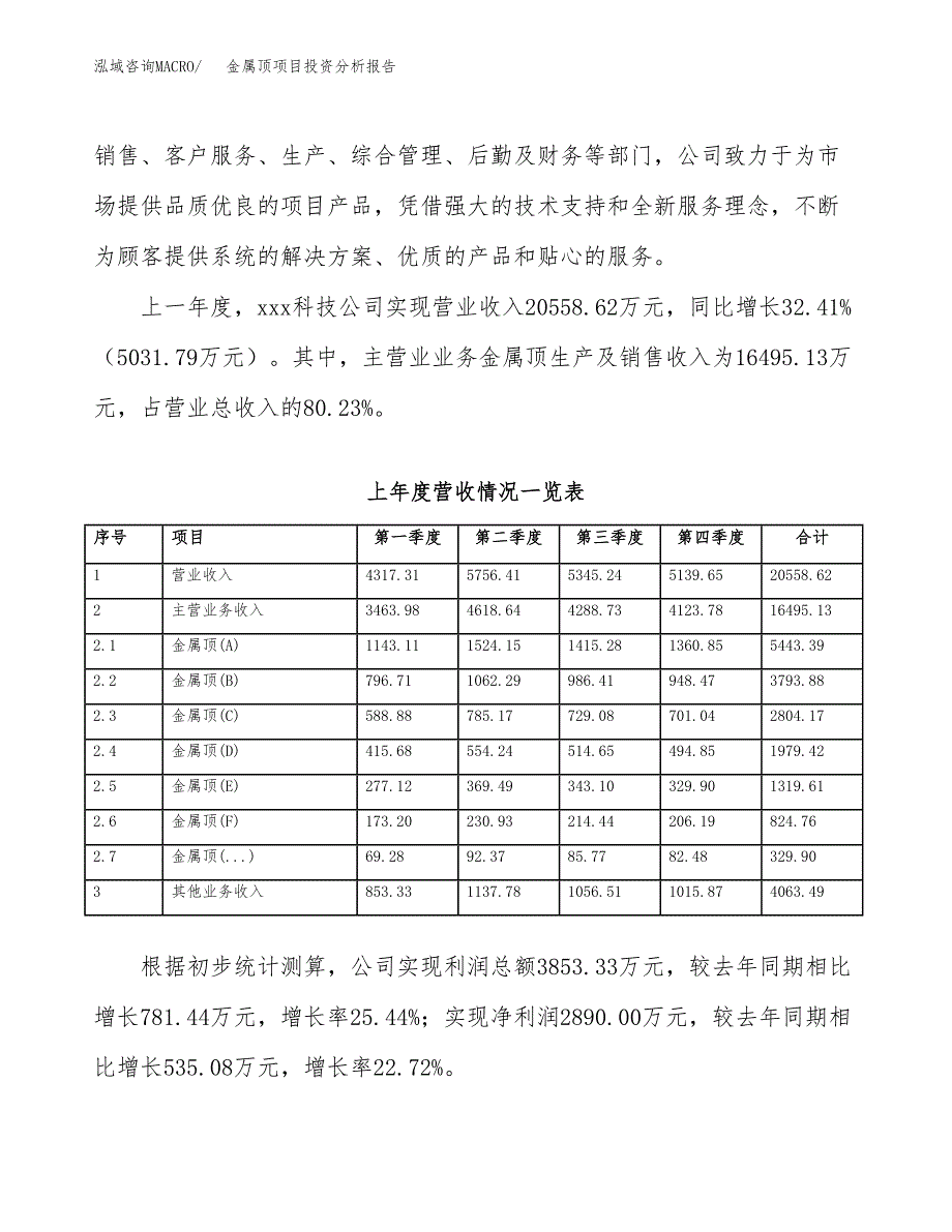 金属顶项目投资分析报告（总投资16000万元）（74亩）_第3页