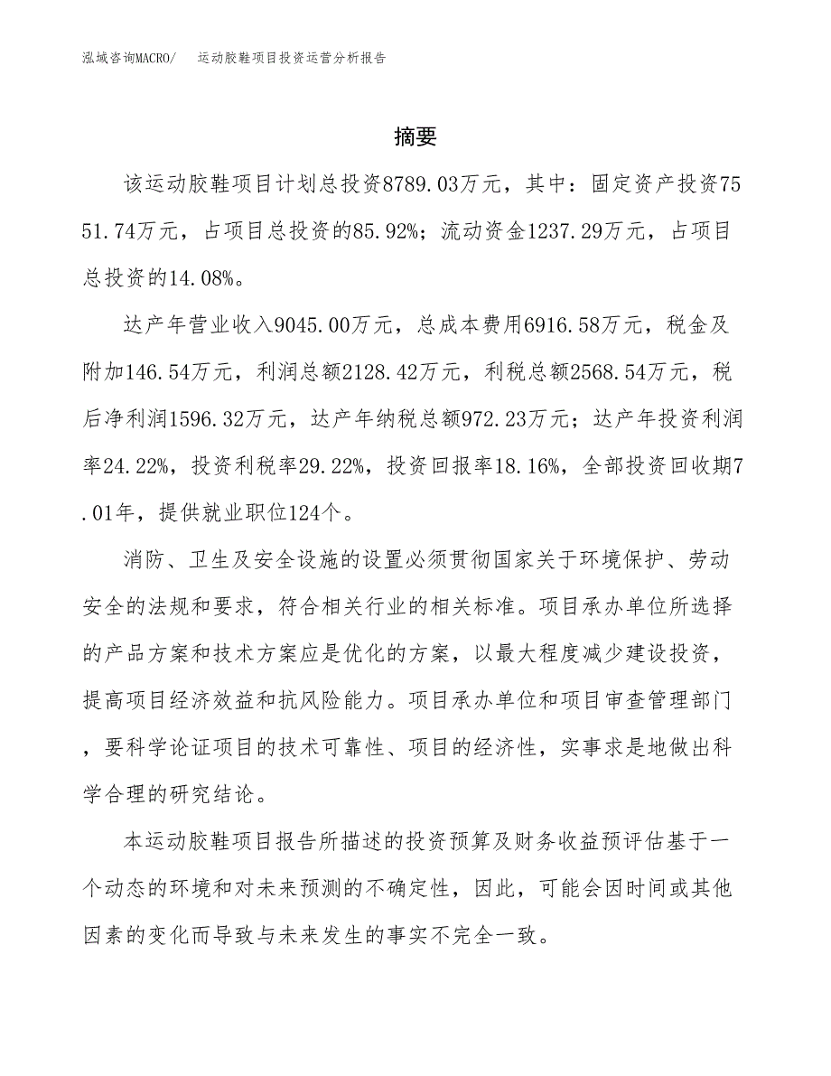 运动胶鞋项目投资运营分析报告参考模板.docx_第2页