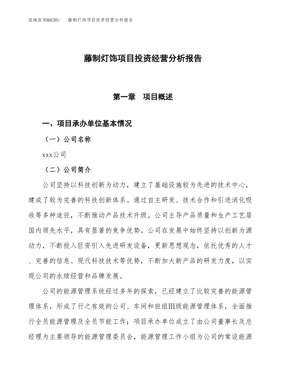 藤制灯饰项目投资经营分析报告模板.docx_第1页