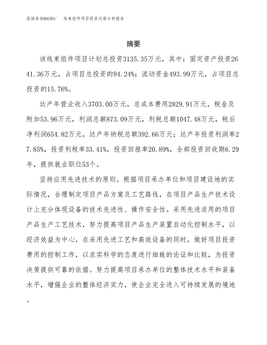 线束组件项目投资运营分析报告参考模板.docx_第2页