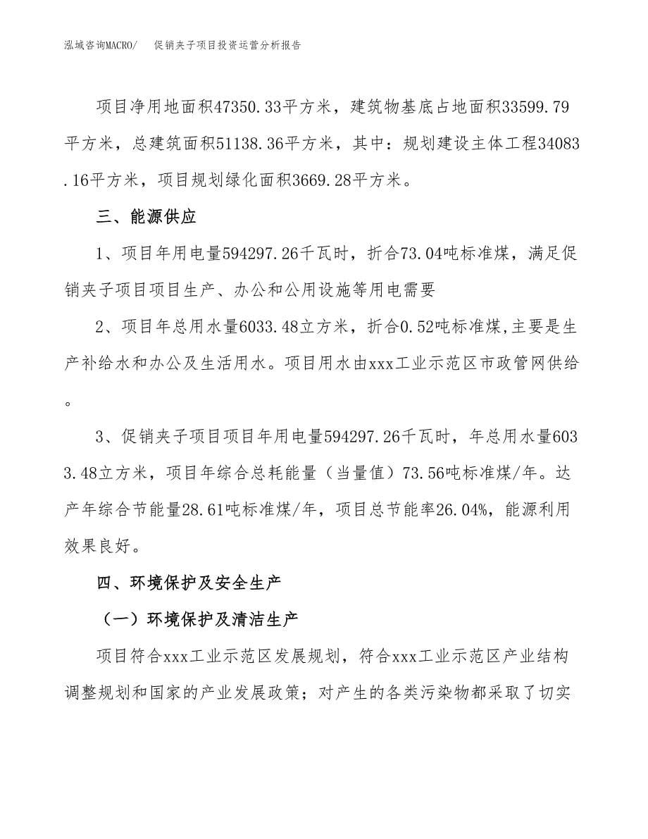 促销夹子项目投资运营分析报告参考模板.docx_第5页