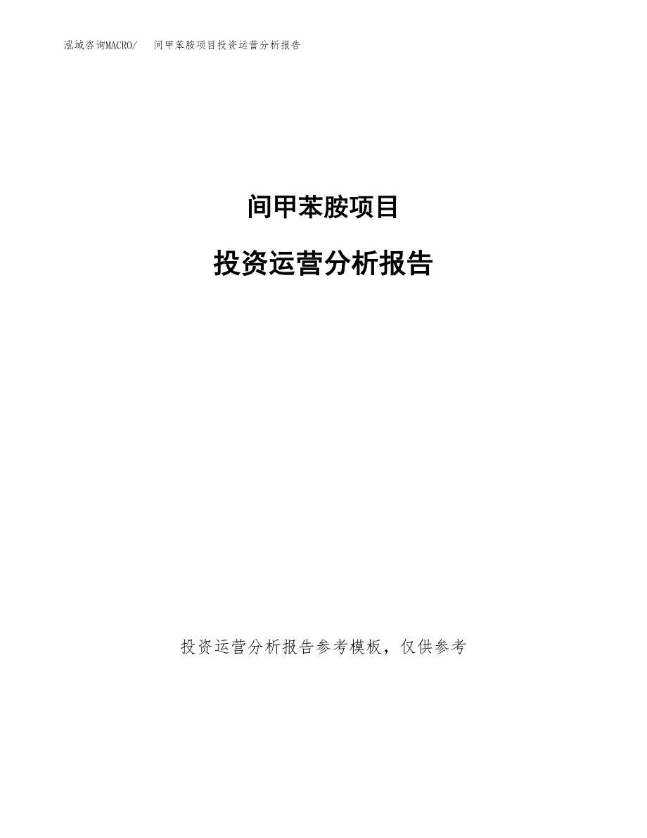 间甲苯胺项目投资运营分析报告参考模板.docx_第1页