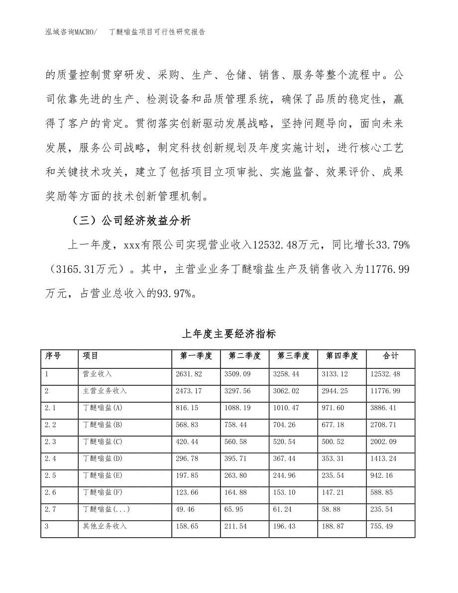 丁醚嗡盐项目可行性研究报告汇报设计.docx_第5页