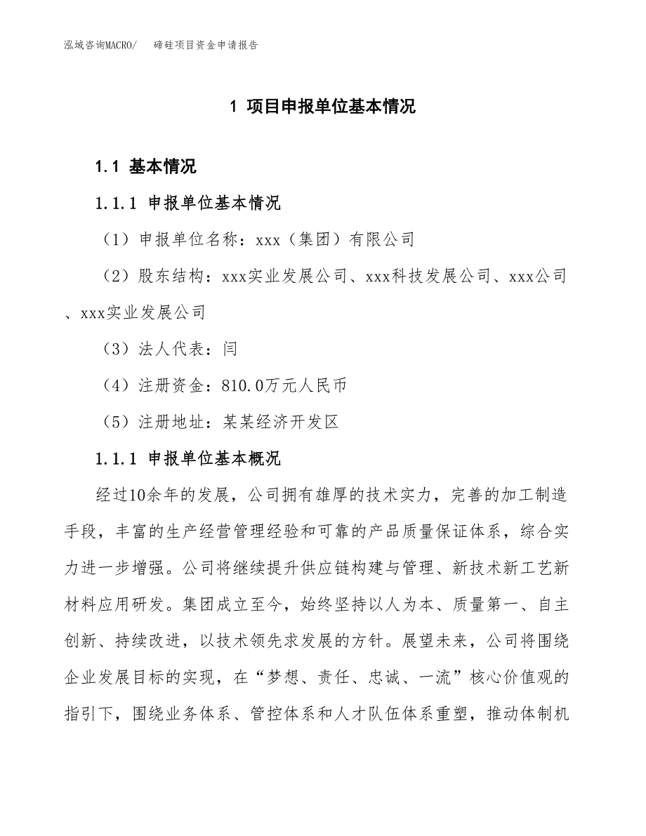 碲硅项目资金申请报告_第3页