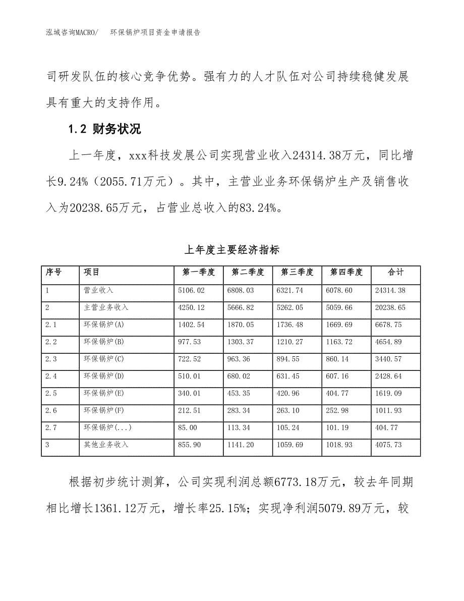 环保锅炉项目资金申请报告_第5页