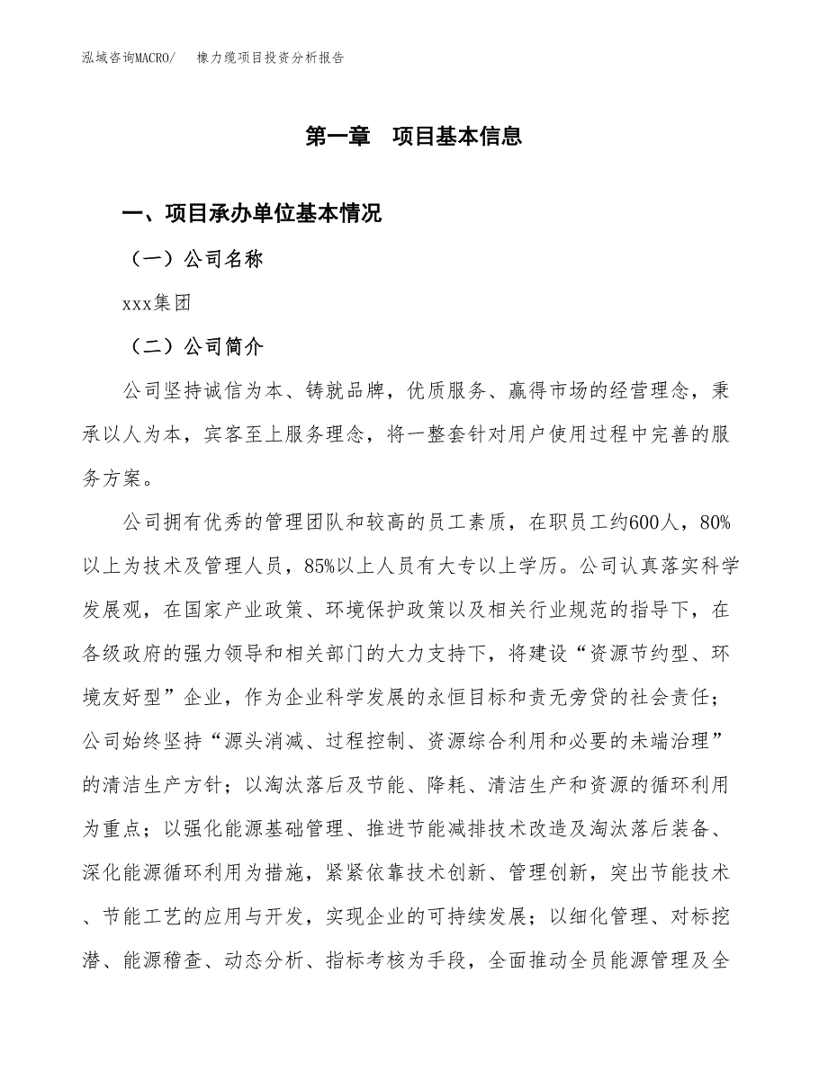 橡力缆项目投资分析报告（总投资4000万元）（20亩）_第2页