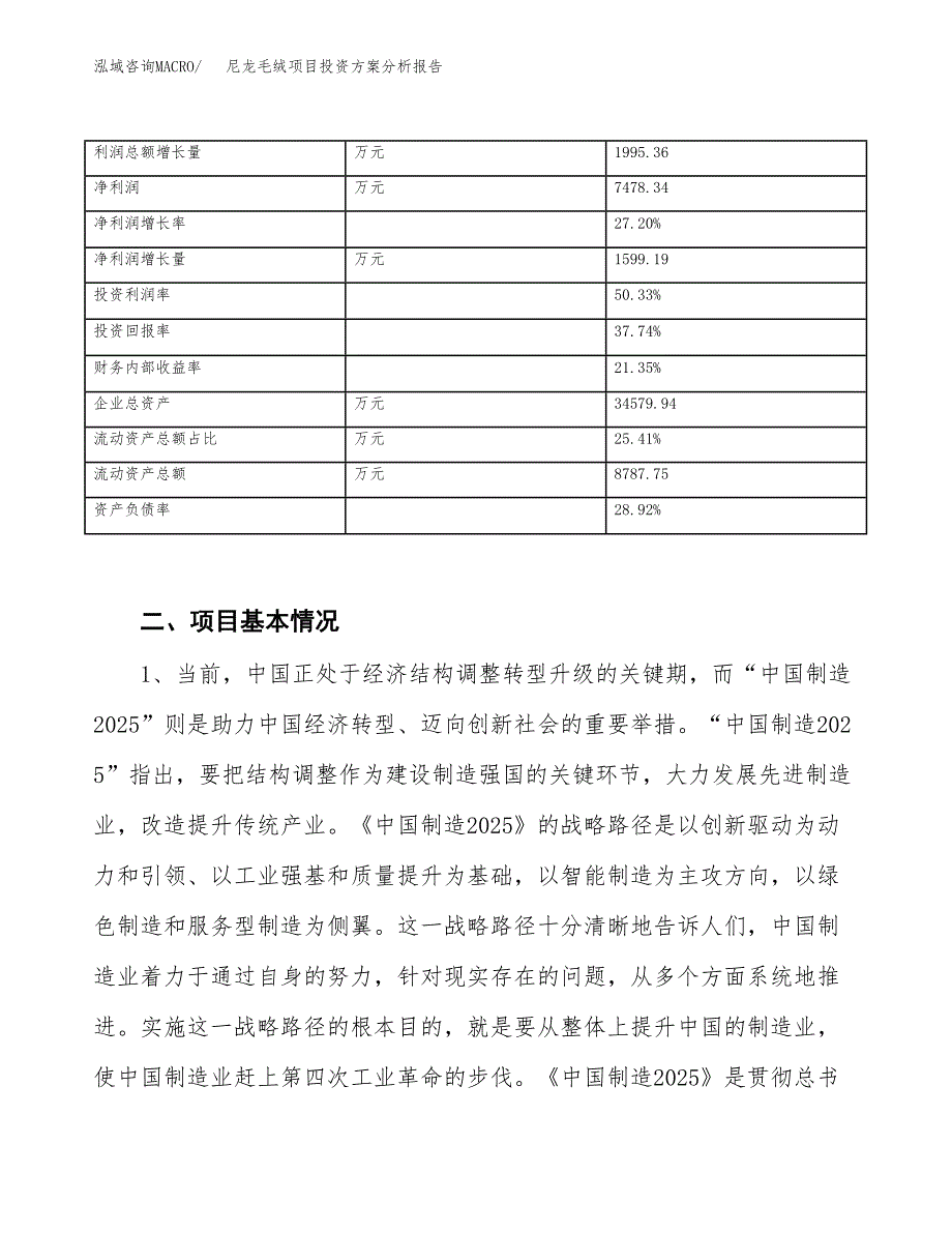 尼龙毛绒项目投资方案分析报告.docx_第3页
