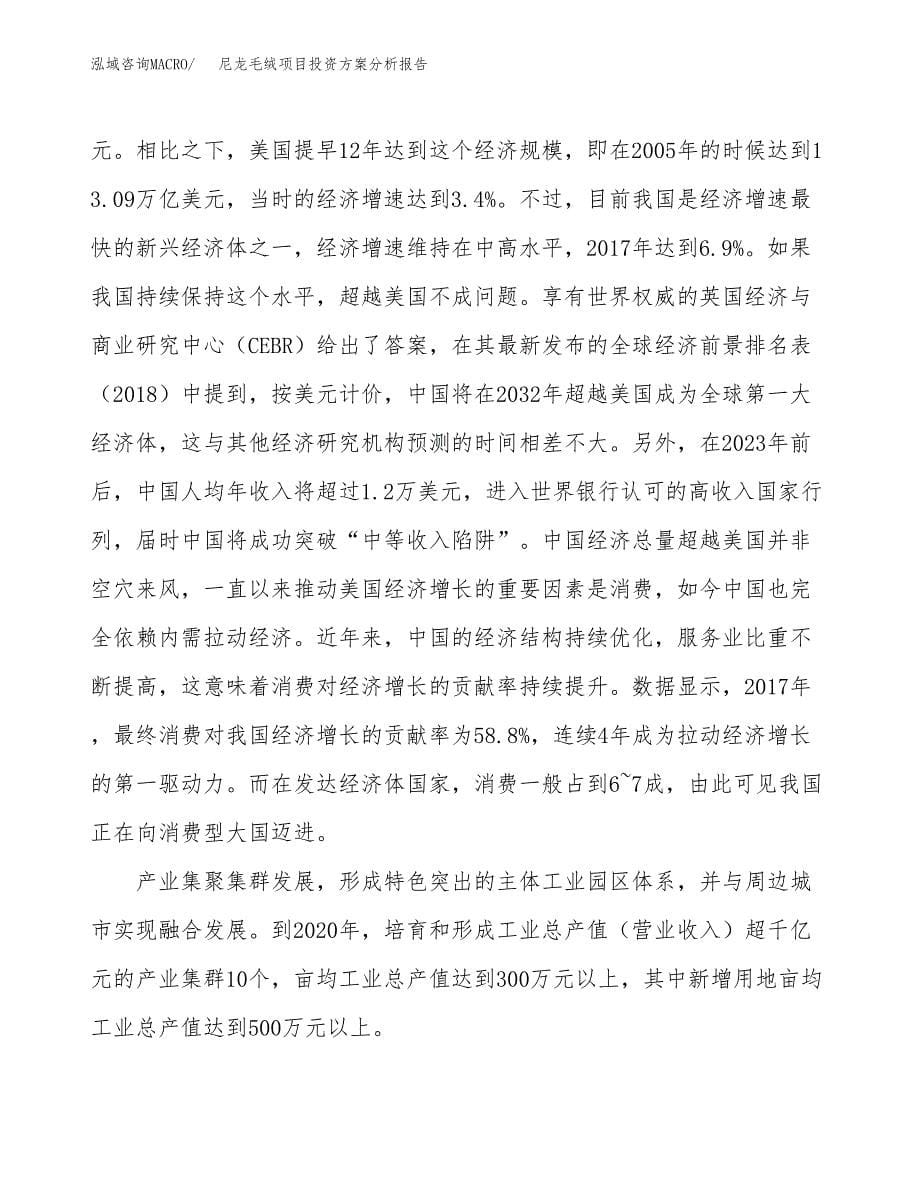 尼龙毛绒项目投资方案分析报告.docx_第5页