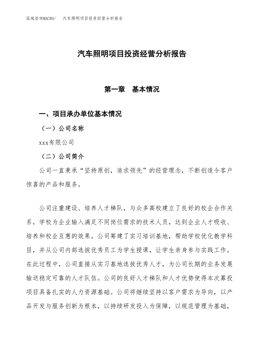 汽车照明项目投资经营分析报告模板.docx_第1页