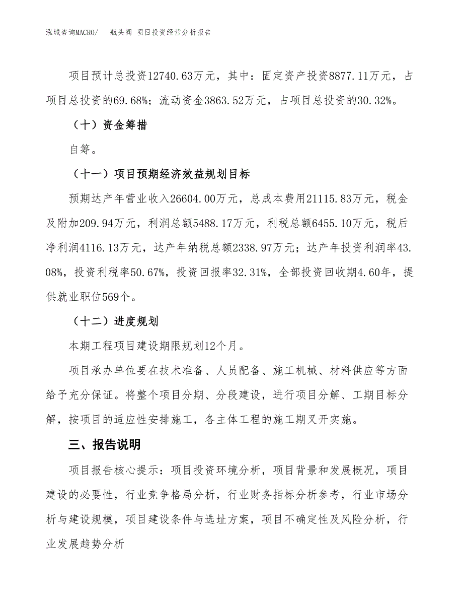 瓶头阀 项目投资经营分析报告模板.docx_第4页