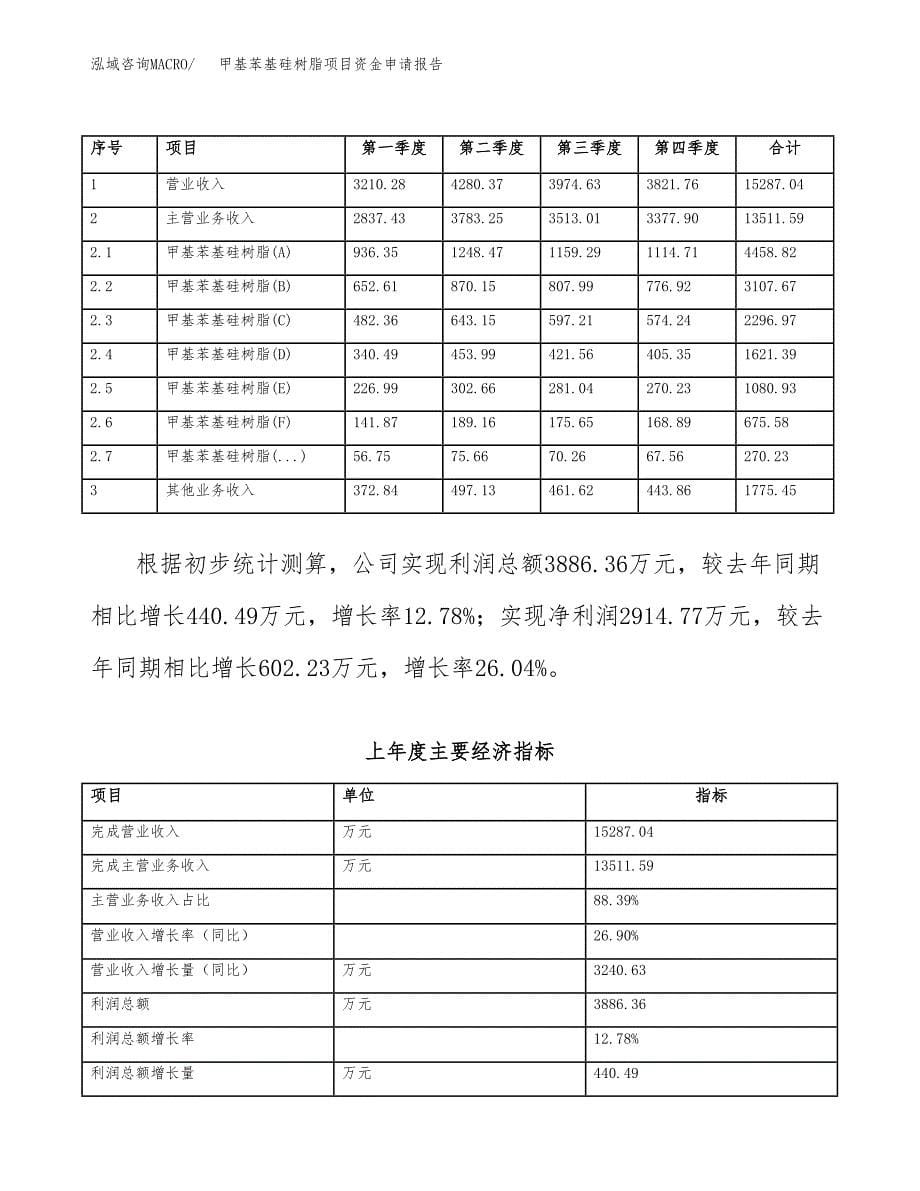 甲基苯基硅树脂项目资金申请报告_第5页