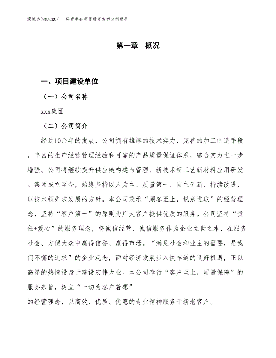 搓背手套项目投资方案分析报告.docx_第1页