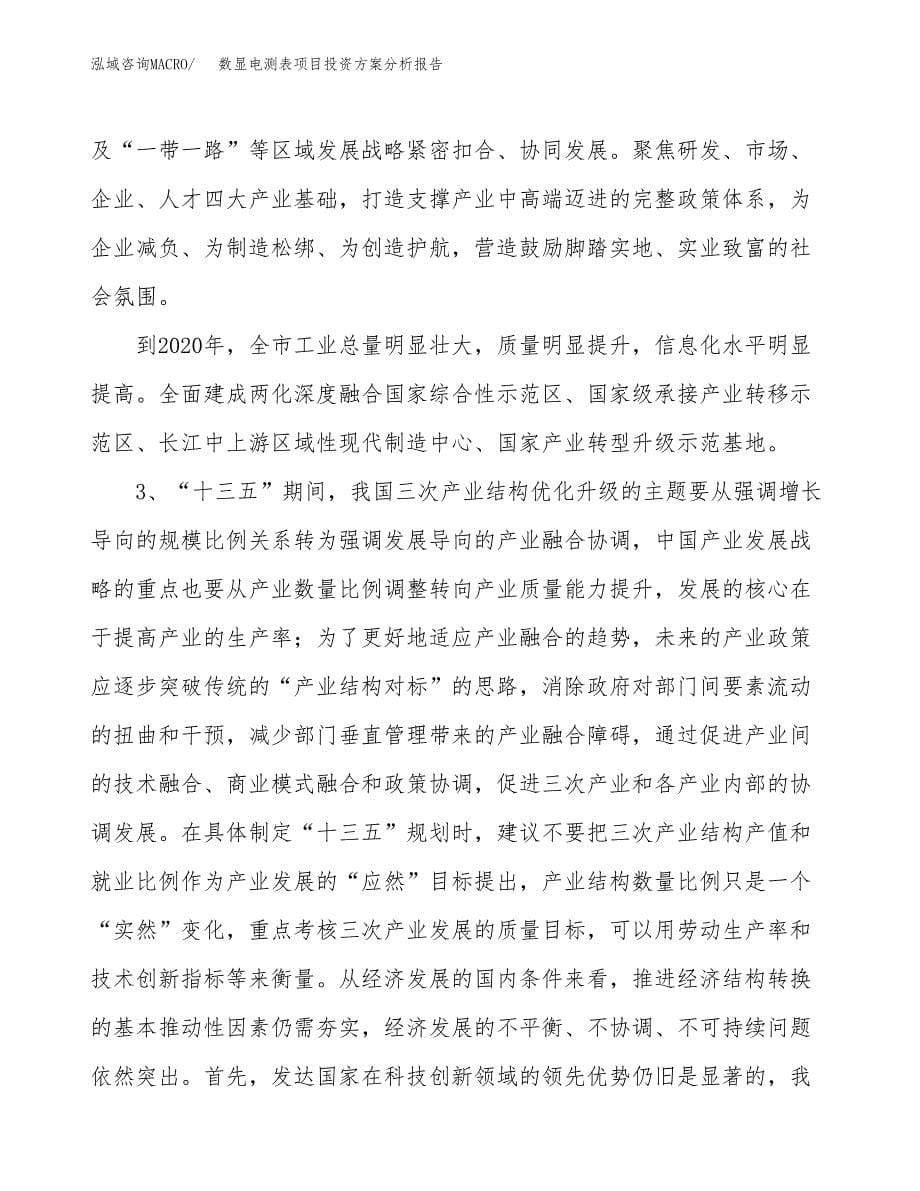 数显电测表项目投资方案分析报告.docx_第5页