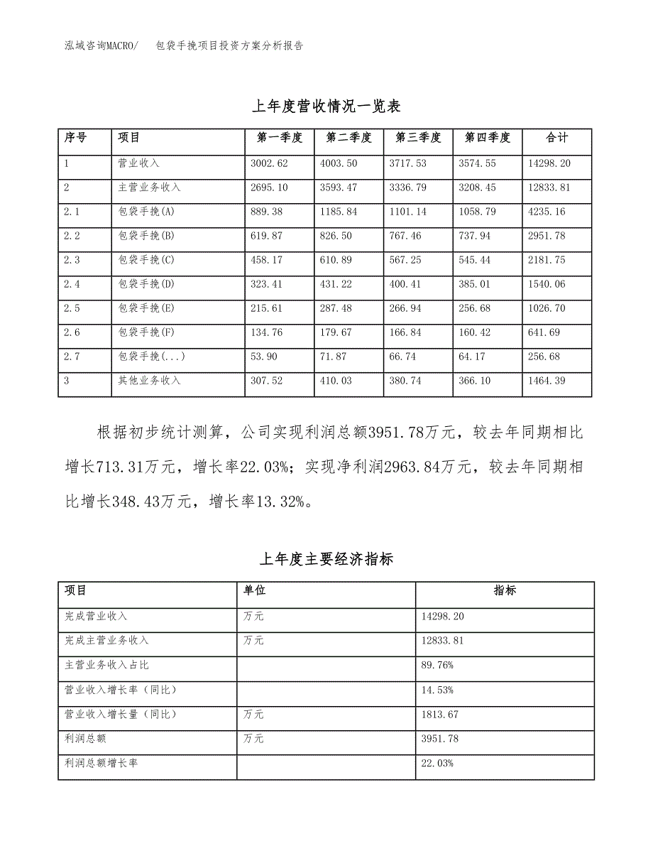 包袋手挽项目投资方案分析报告.docx_第3页