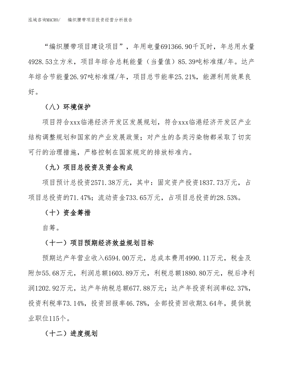 编织腰带项目投资经营分析报告模板.docx_第4页