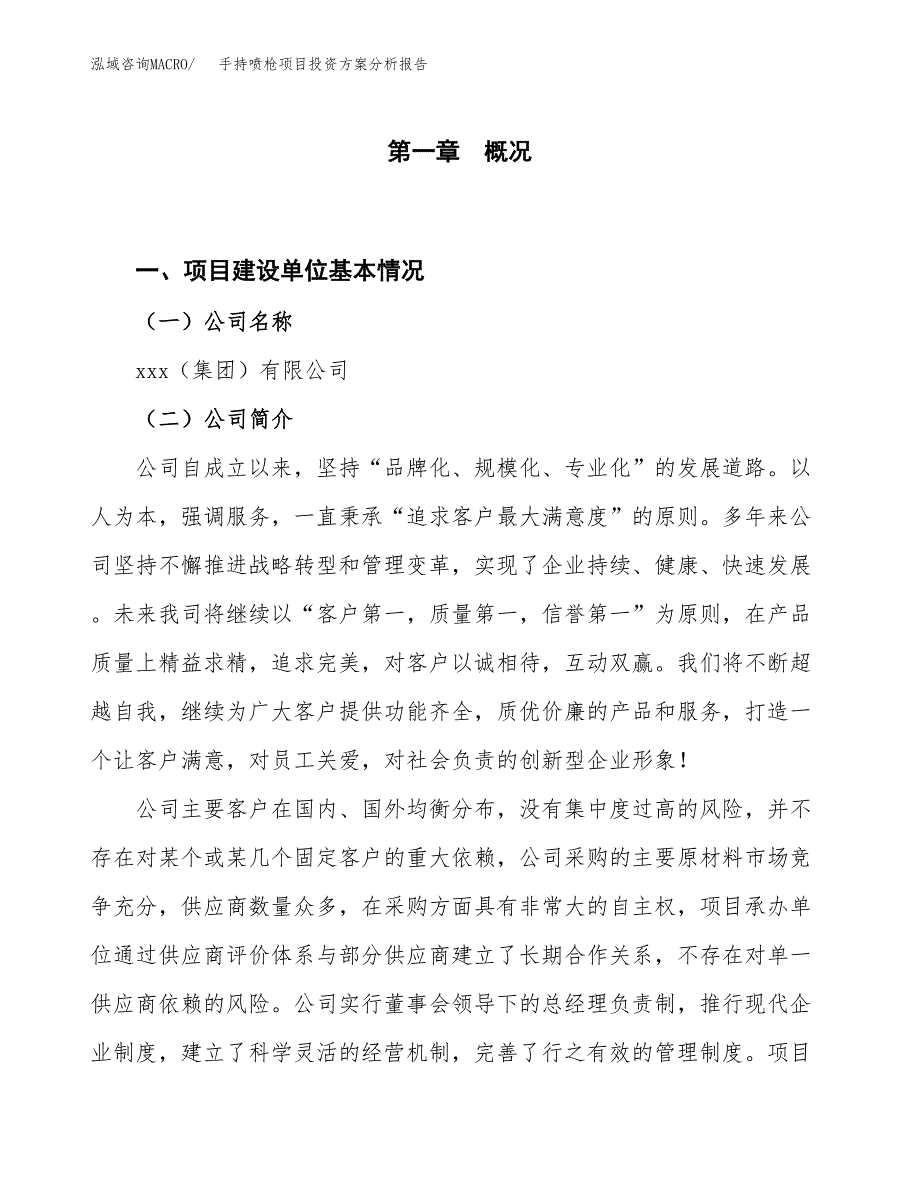 手持喷枪项目投资方案分析报告.docx_第1页