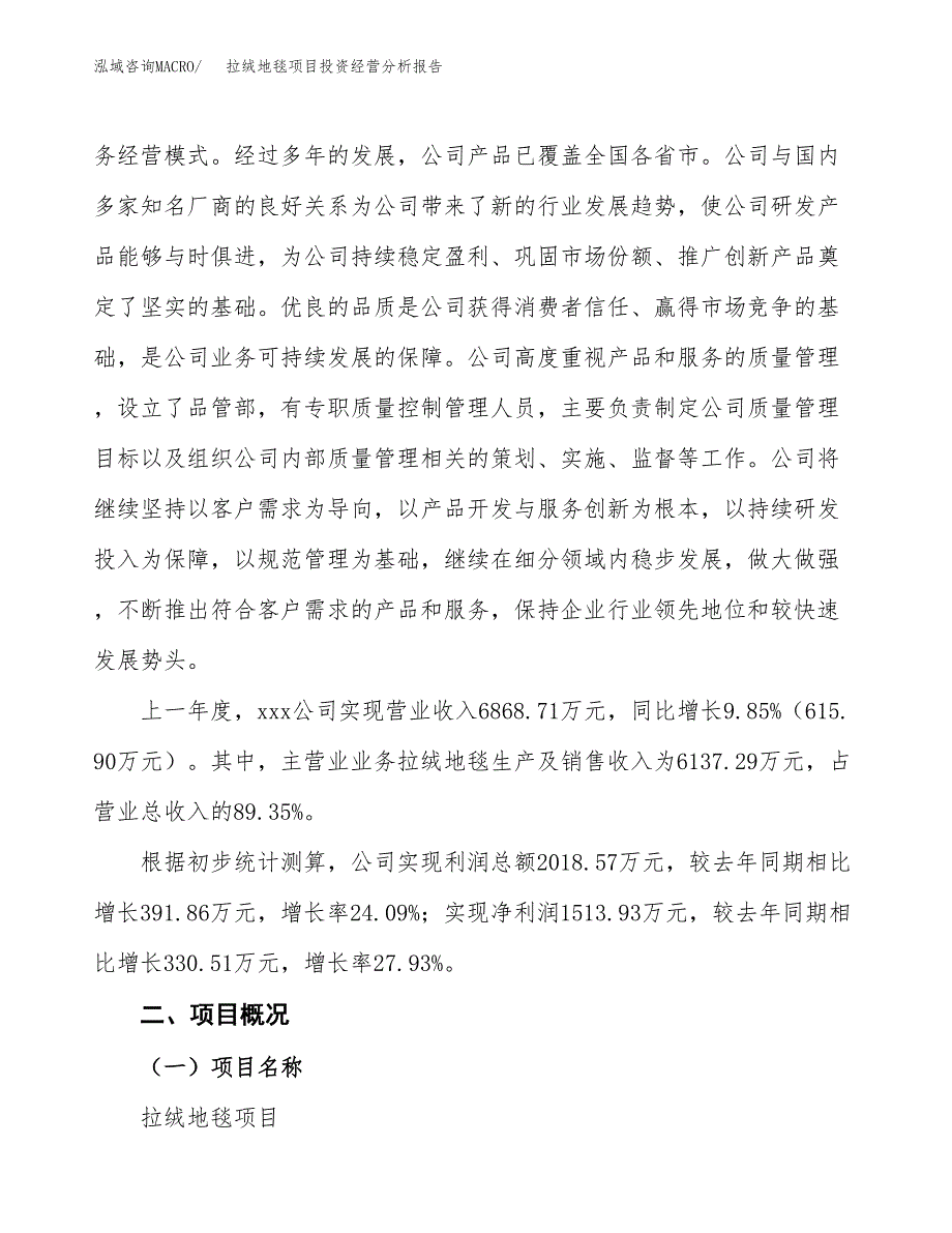 拉绒地毯项目投资经营分析报告模板.docx_第2页