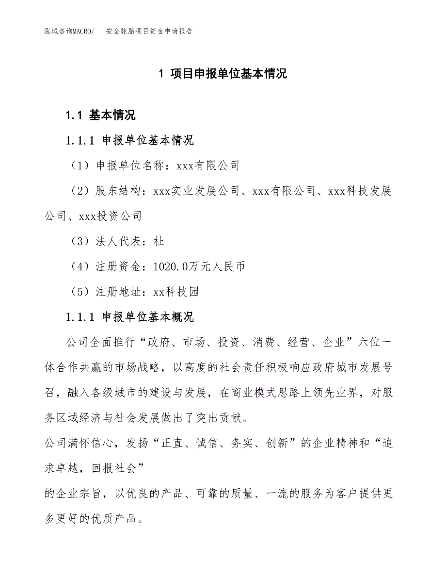 安全轮胎项目资金申请报告 (1)_第3页