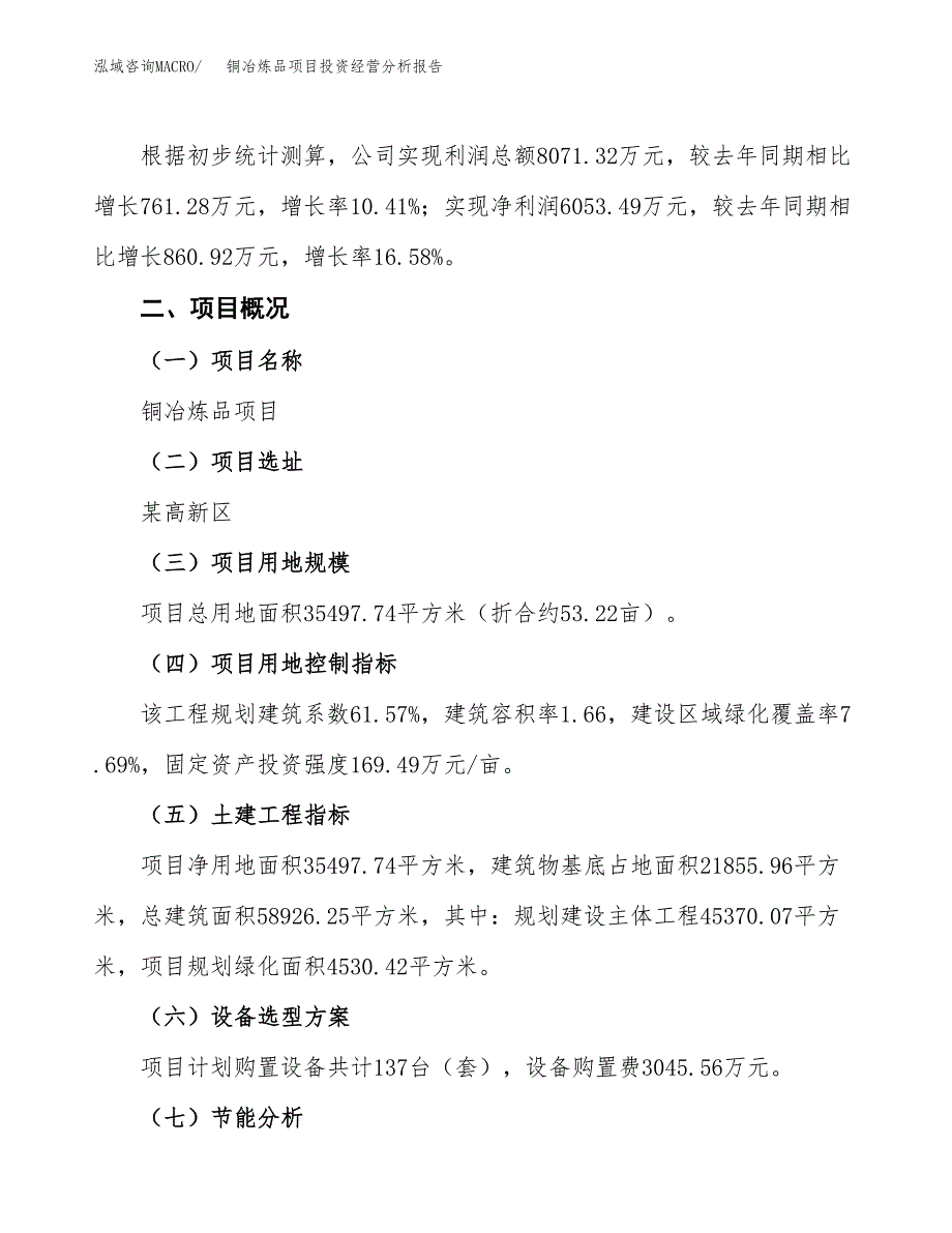 铜冶炼品项目投资经营分析报告模板.docx_第3页