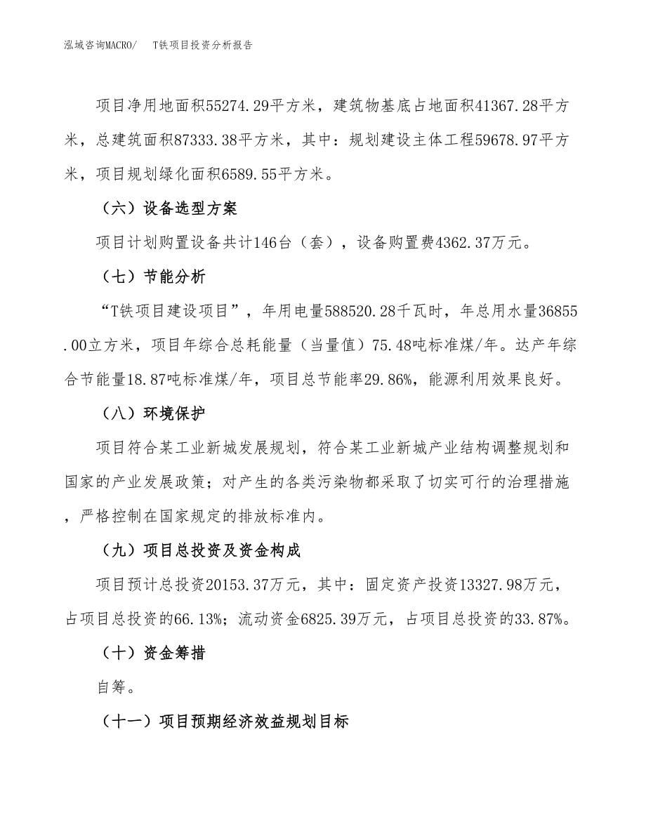 T铁项目投资分析报告（总投资20000万元）（83亩）_第5页