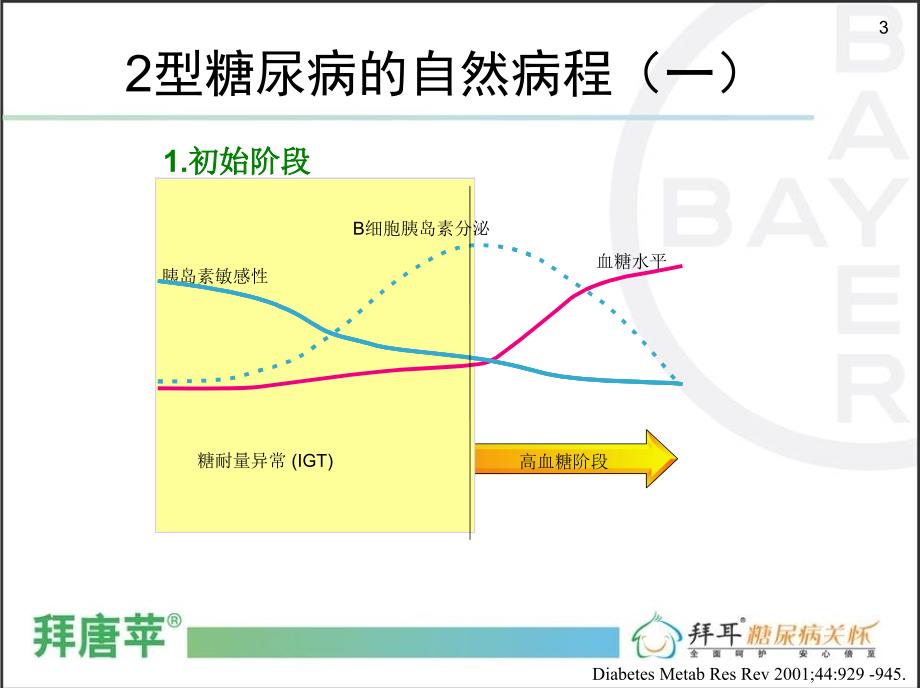 拜唐苹与胰岛素联合应用(新)_第3页