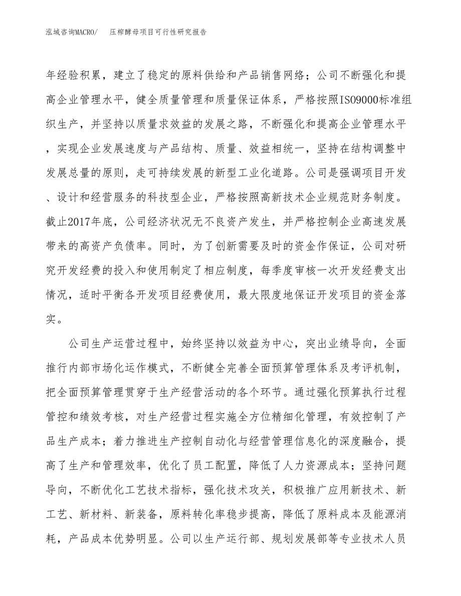 压榨酵母项目可行性研究报告汇报设计.docx_第5页