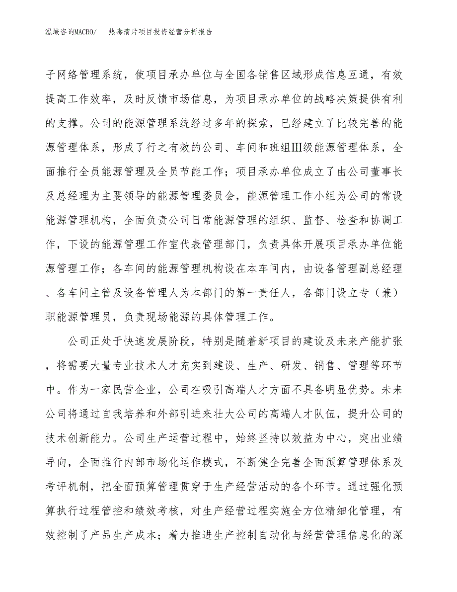 热毒清片项目投资经营分析报告模板.docx_第2页