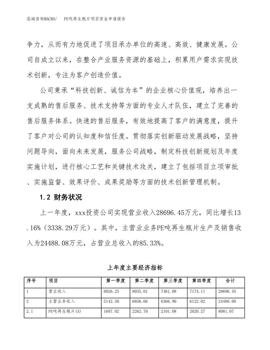 PE吨再生瓶片项目资金申请报告_第5页