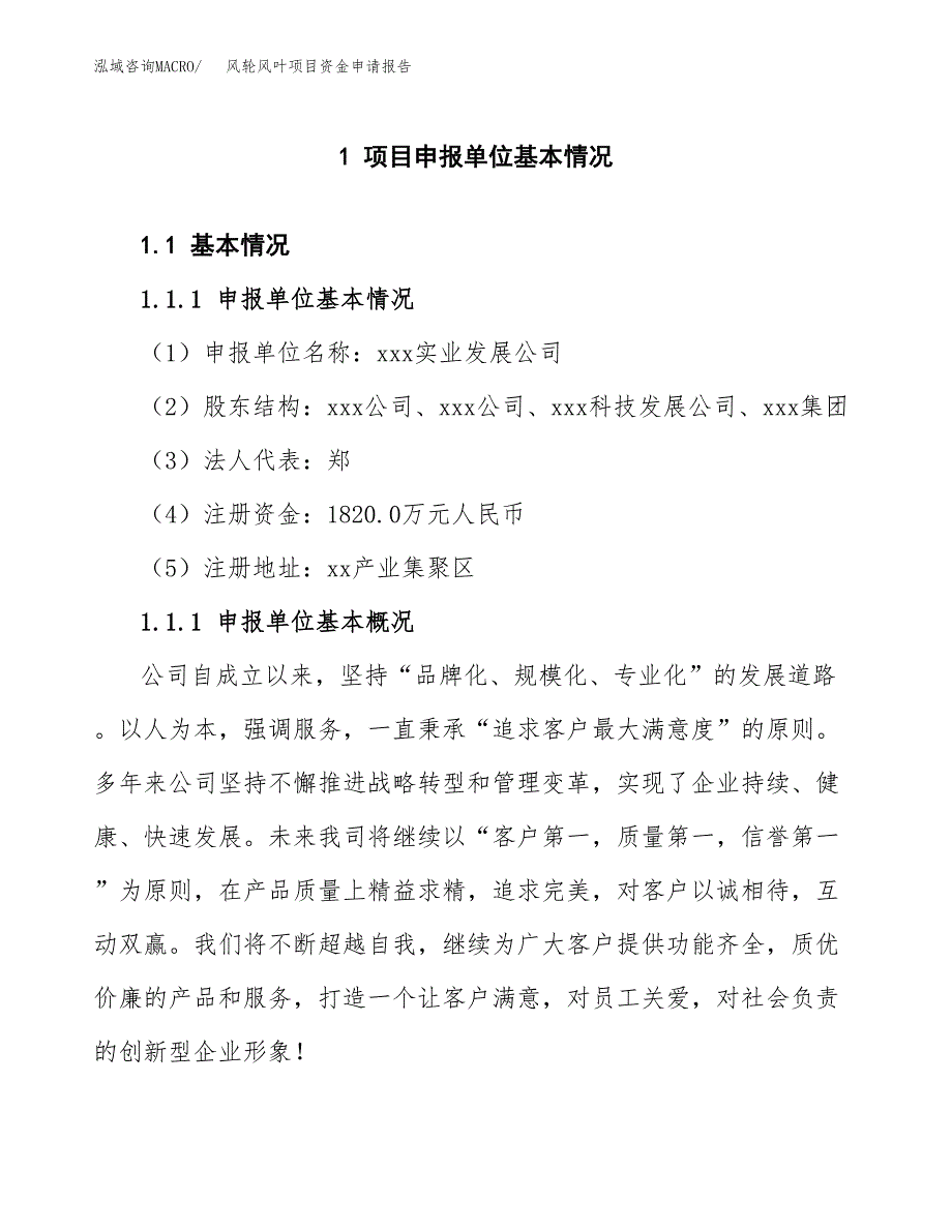 风轮风叶项目资金申请报告_第3页