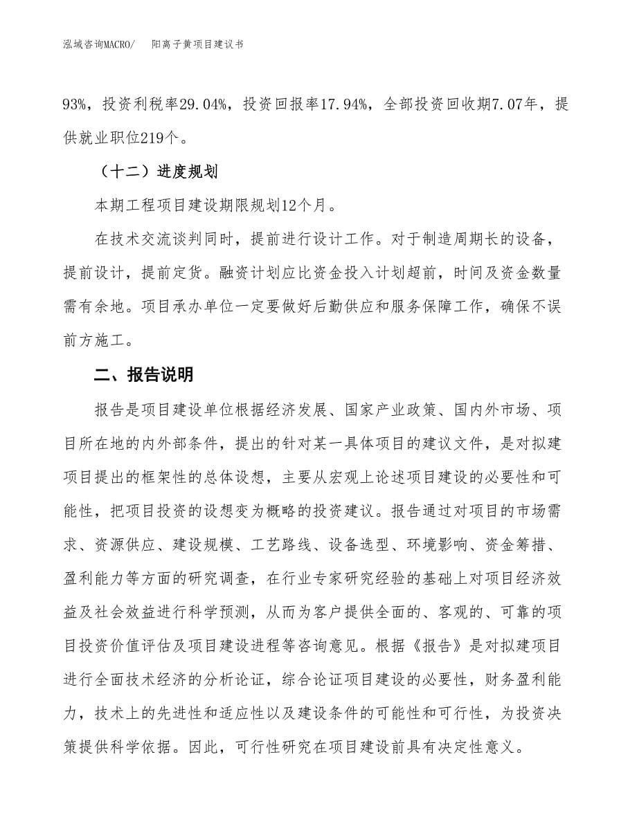 阳离子黄项目建议书（可研报告）.docx_第5页